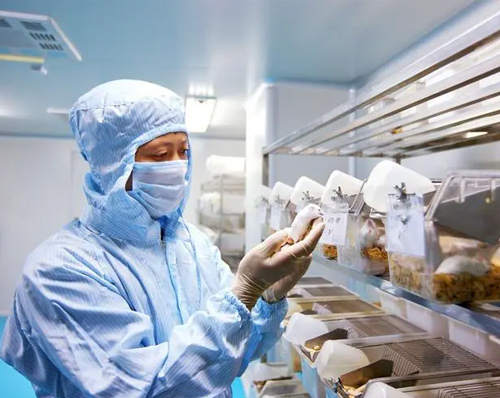 磁選機(jī)在食品與醫(yī)藥領(lǐng)域應(yīng)用